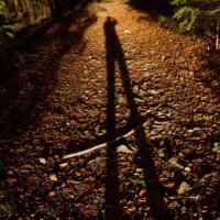 LeadingLines LeadingLines