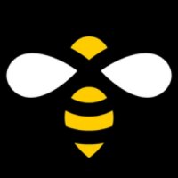 Pixelfed profile picture for @bees