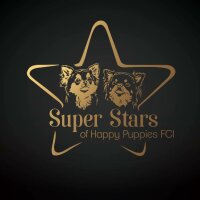 Pixelfed profile picture for @superstars