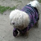 menyhartmate's avatar