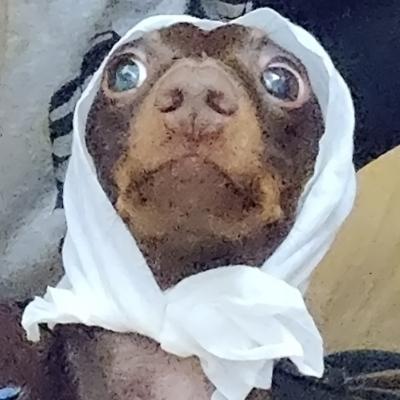 [?]