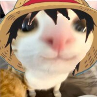 Pixelfed profile picture for @hobi