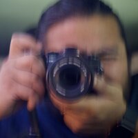 imthebeetleking@pixelfed.social