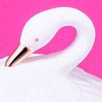 Pixelfed profile picture for @Quoc