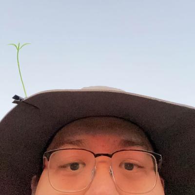 Pixelfed profile picture for @yeh