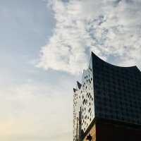 Petra Bassen's avatar