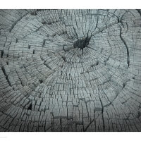 Adam Severeid's avatar