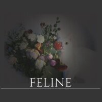 Pixelfed profile picture for @Feline