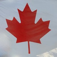 Martin Bernes's avatar