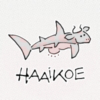 Haaikoe