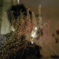 Capturesque's avatar