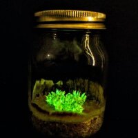 rxf4e1@pixelfed.social