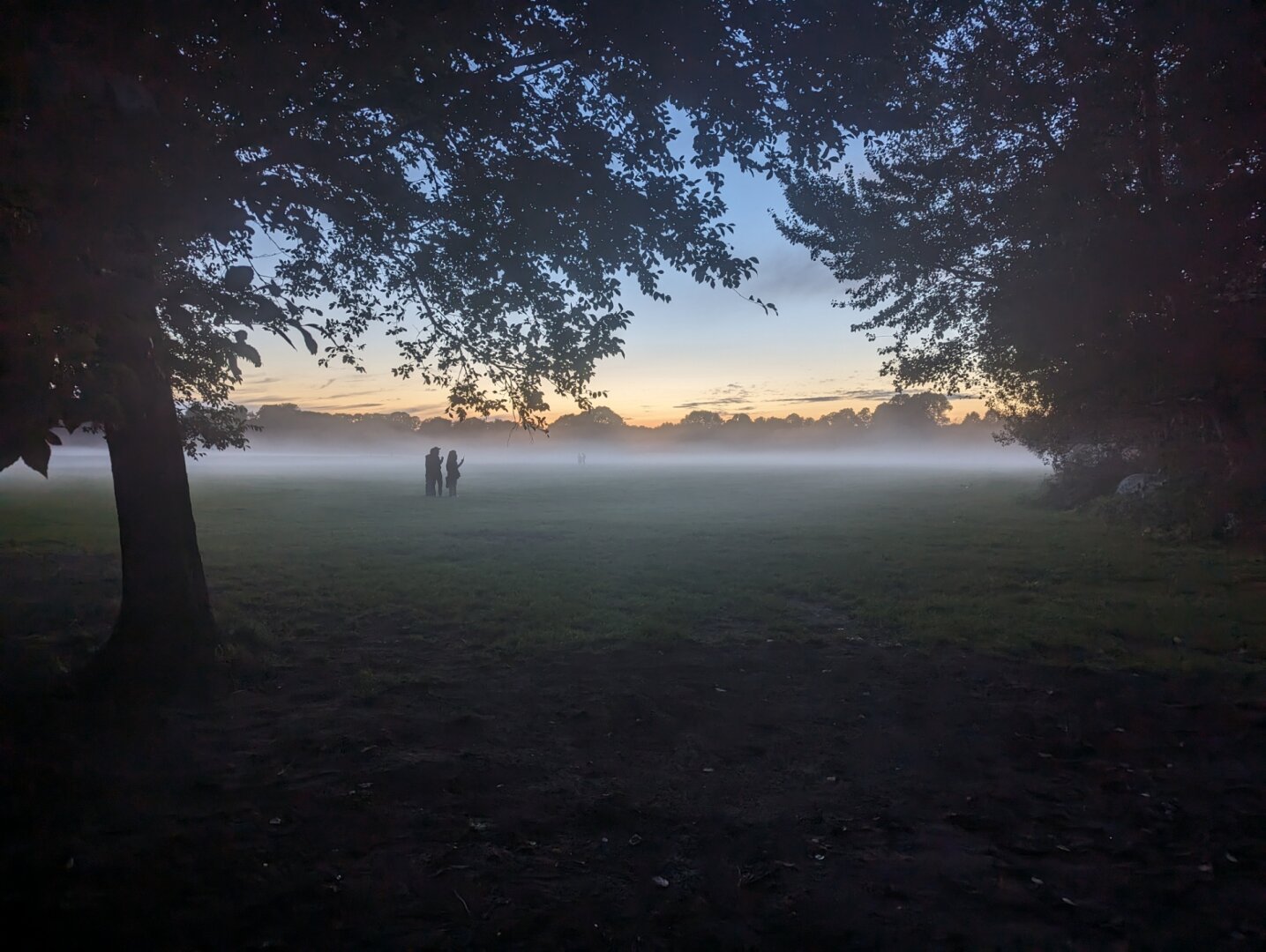 The setting sun casts the last of the evening light across a misty field