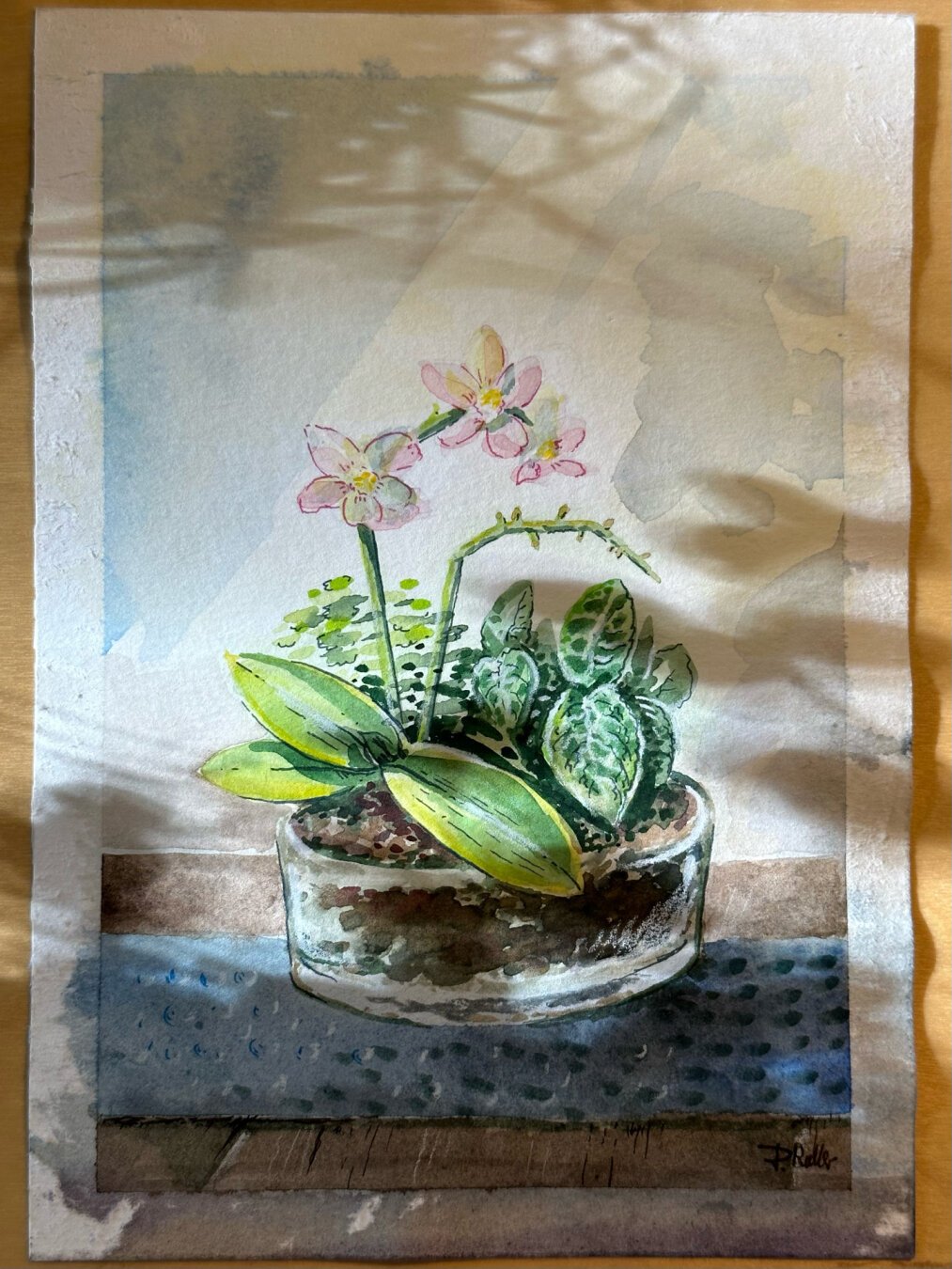A photo of a watercolour painting. In the centre of the picture is a glass bowl planted with a small orchid and other small green leaves. The glass bowl stands on a dark petrol-coloured textured ground.