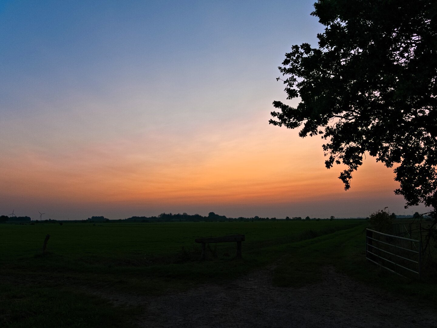 The sun has set. An orange-yellow stripe can still be seen in the sky, above it the sky is a cloudless blue. There is a tree on the right of the picture and meadows in the foreground. They are now in darkness, colours are barely discernible.
Good night 😊