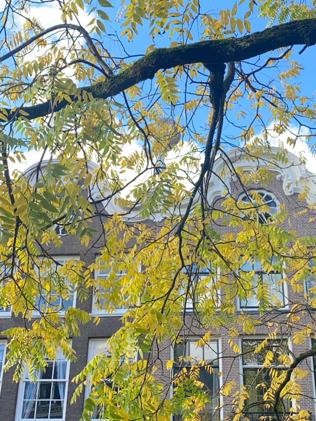 Foreground: leaves from a tree in autumn. Background: historic building in Utrecht with Atlas on the roof