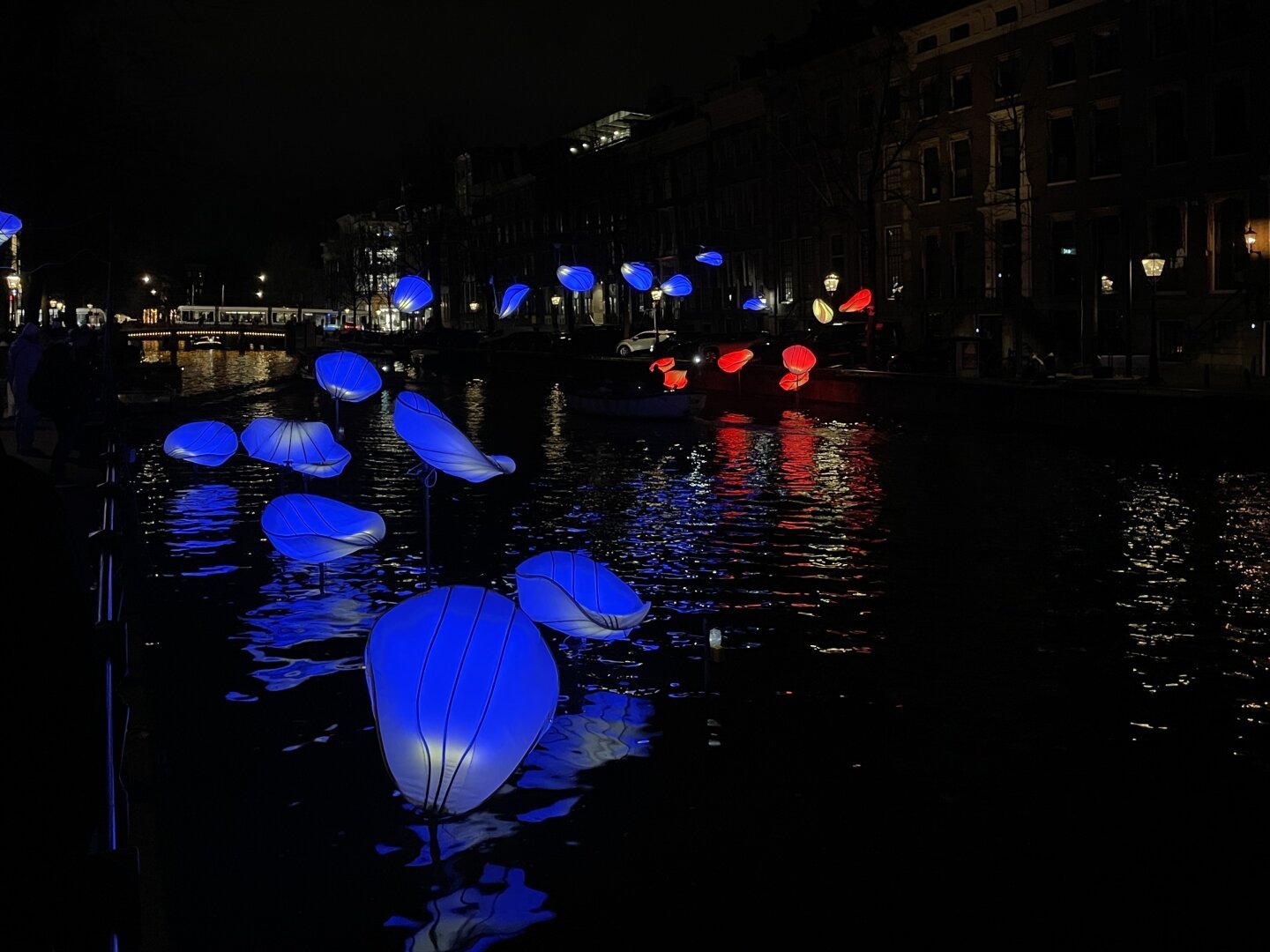 Walk along Amsterdam Light Festival