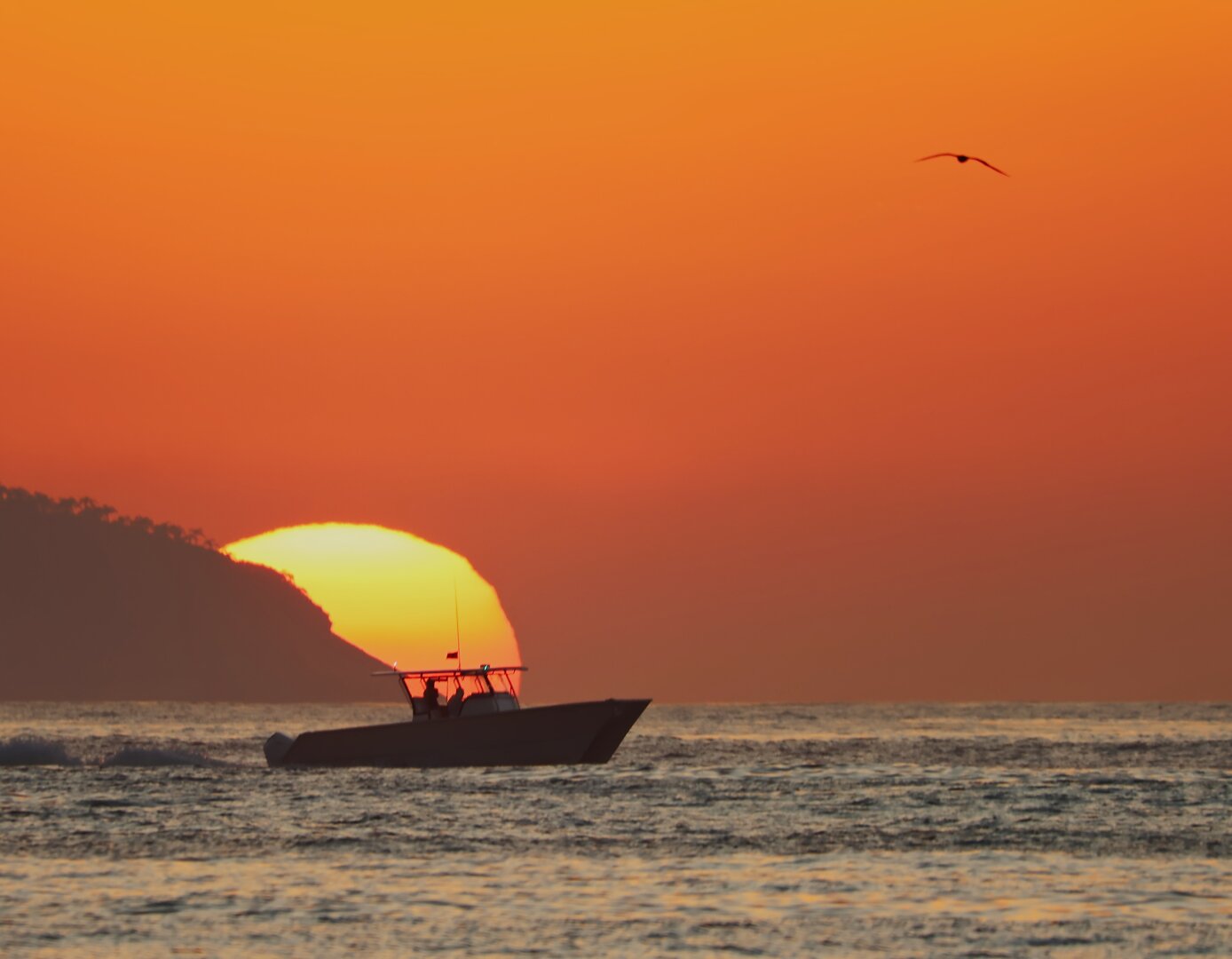 Photograph of a small boat silhouetted against a vivid orange sunrise, with the sun partially hidden behind a dark coastal hillside and a seabird flying across the sky.