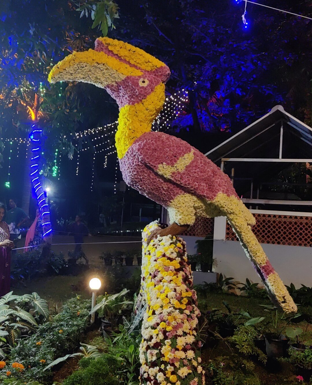 a hornbill with flowers!