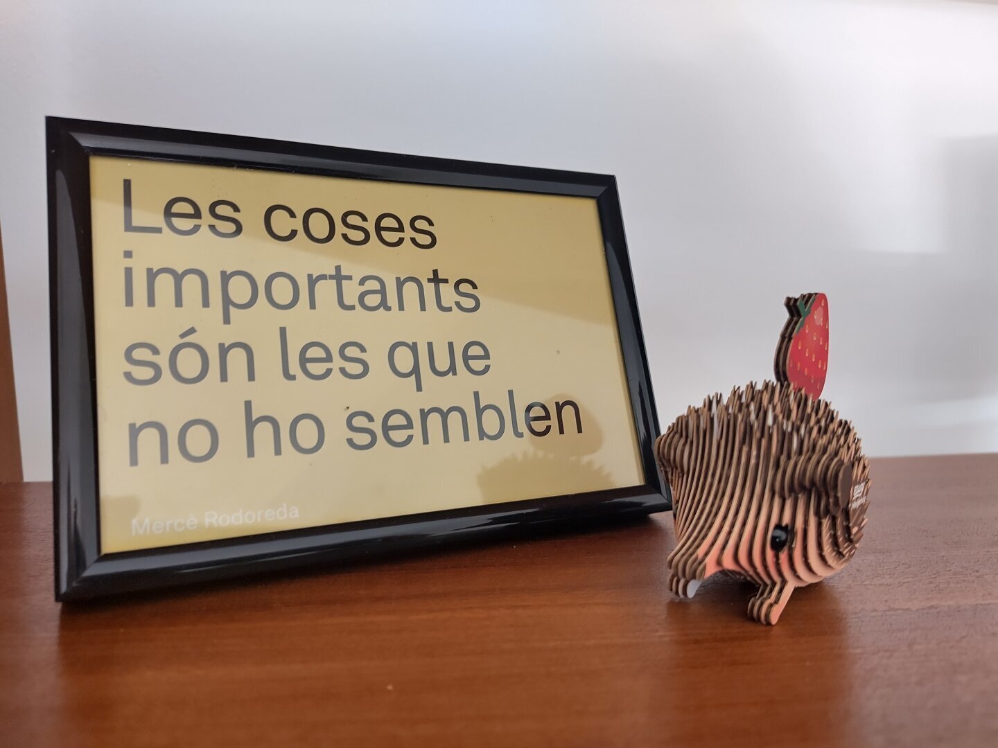 A very cute diy hedgehog