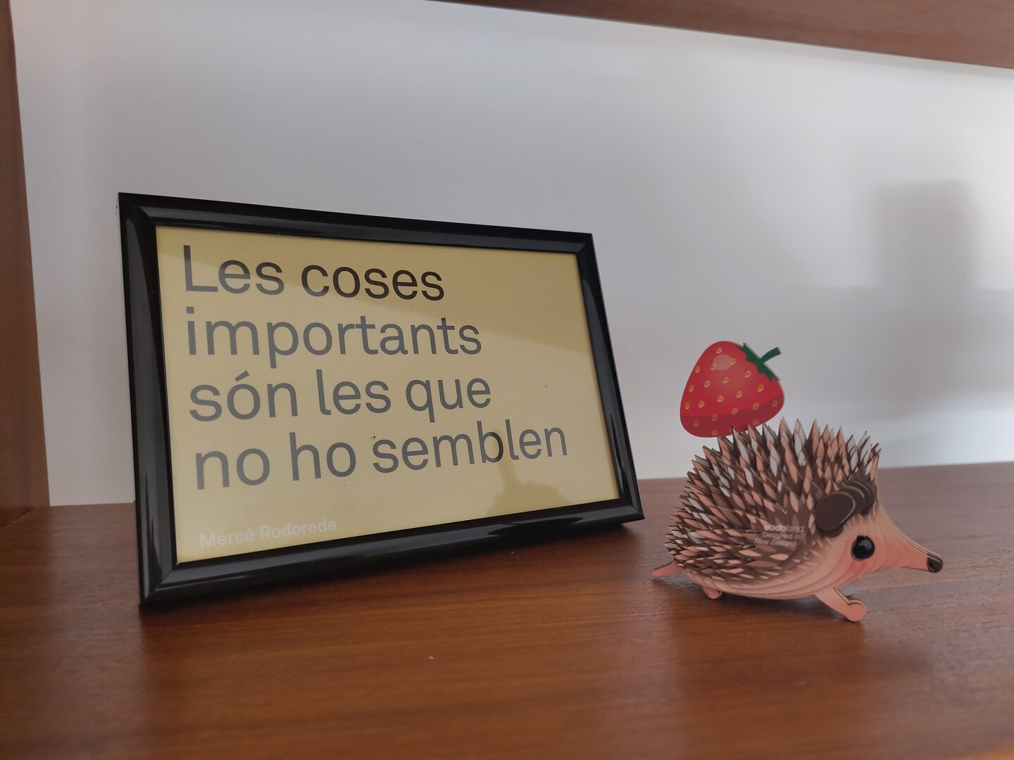 A very cute diy hedgehog