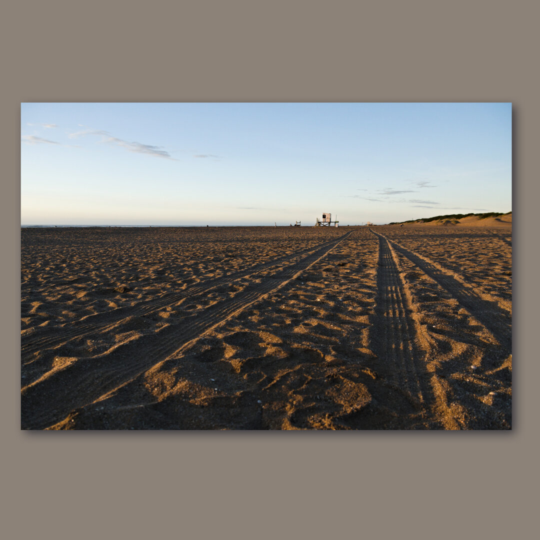 The sand of the beach with track tire tracks.