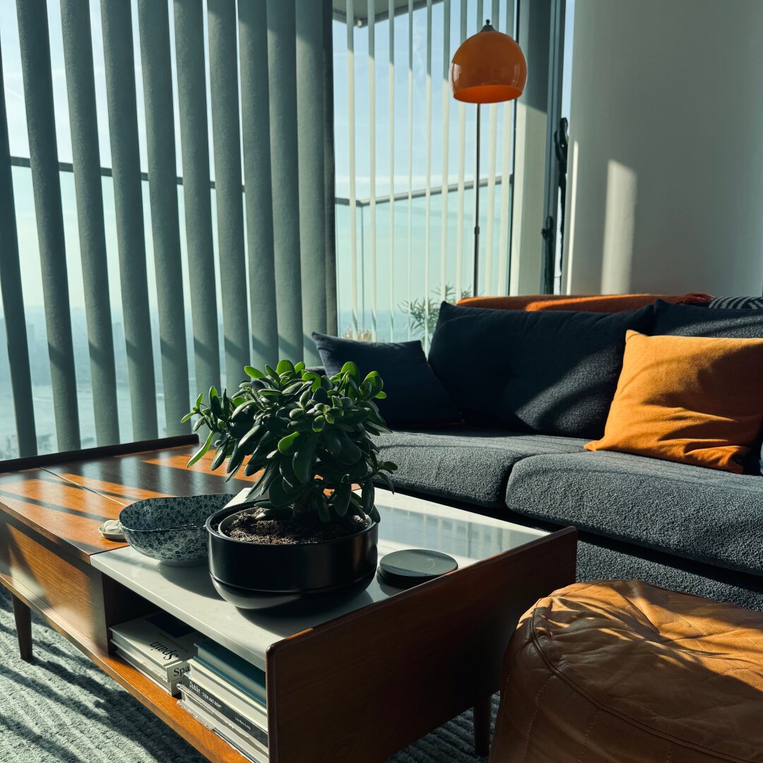 A photo of my living room with sunshine coming through vertical blinds and casting interesting shadows across the furniture: a dark grey sofa with blue and orange cushions.