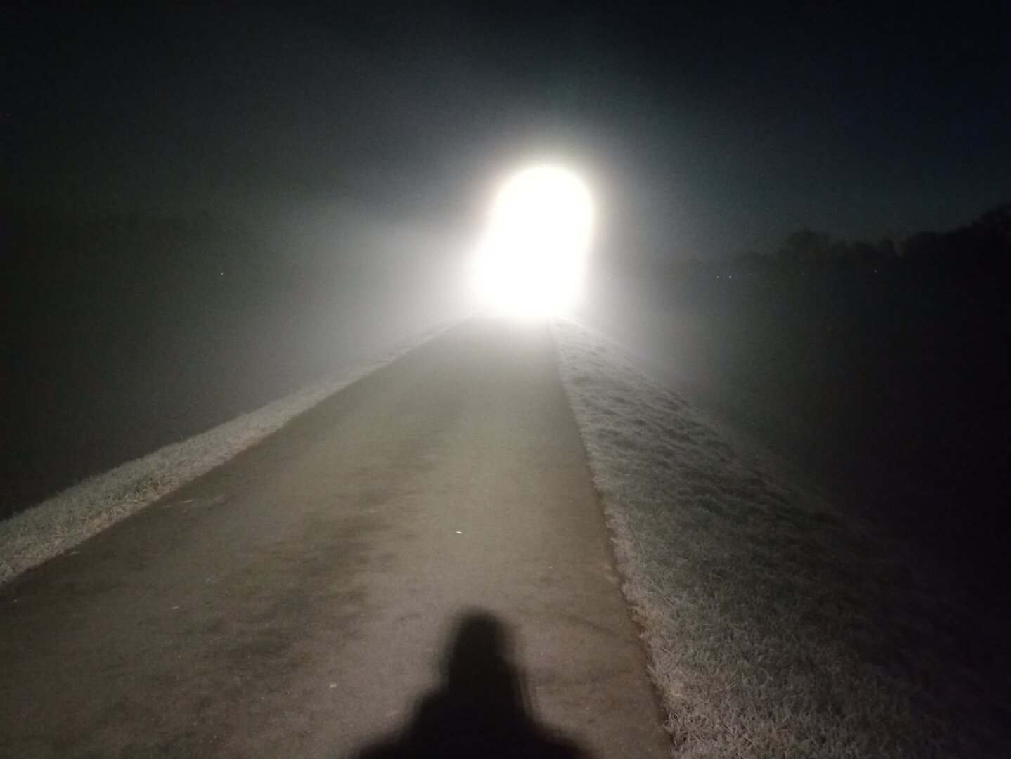 A foggy road with very bright lights ahead