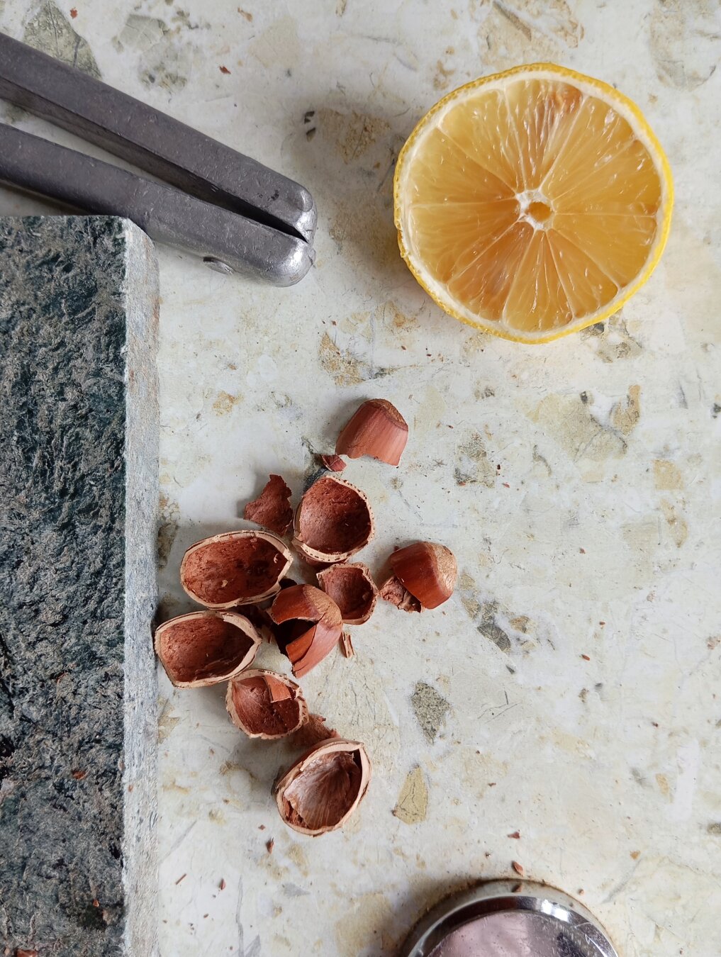 Abstract composition with a lemon and chestnut shells.