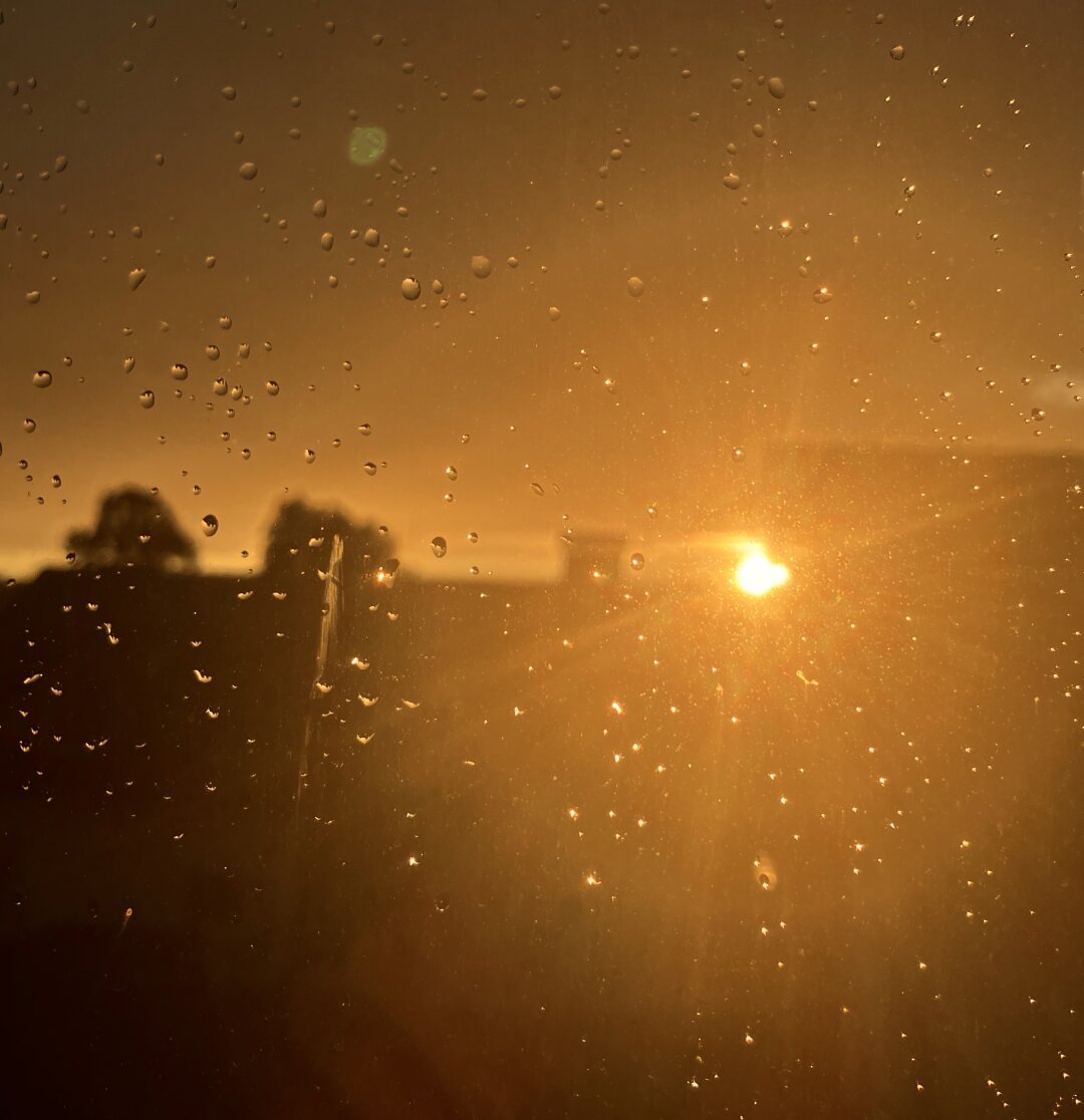 Golden sunset over a rooftop