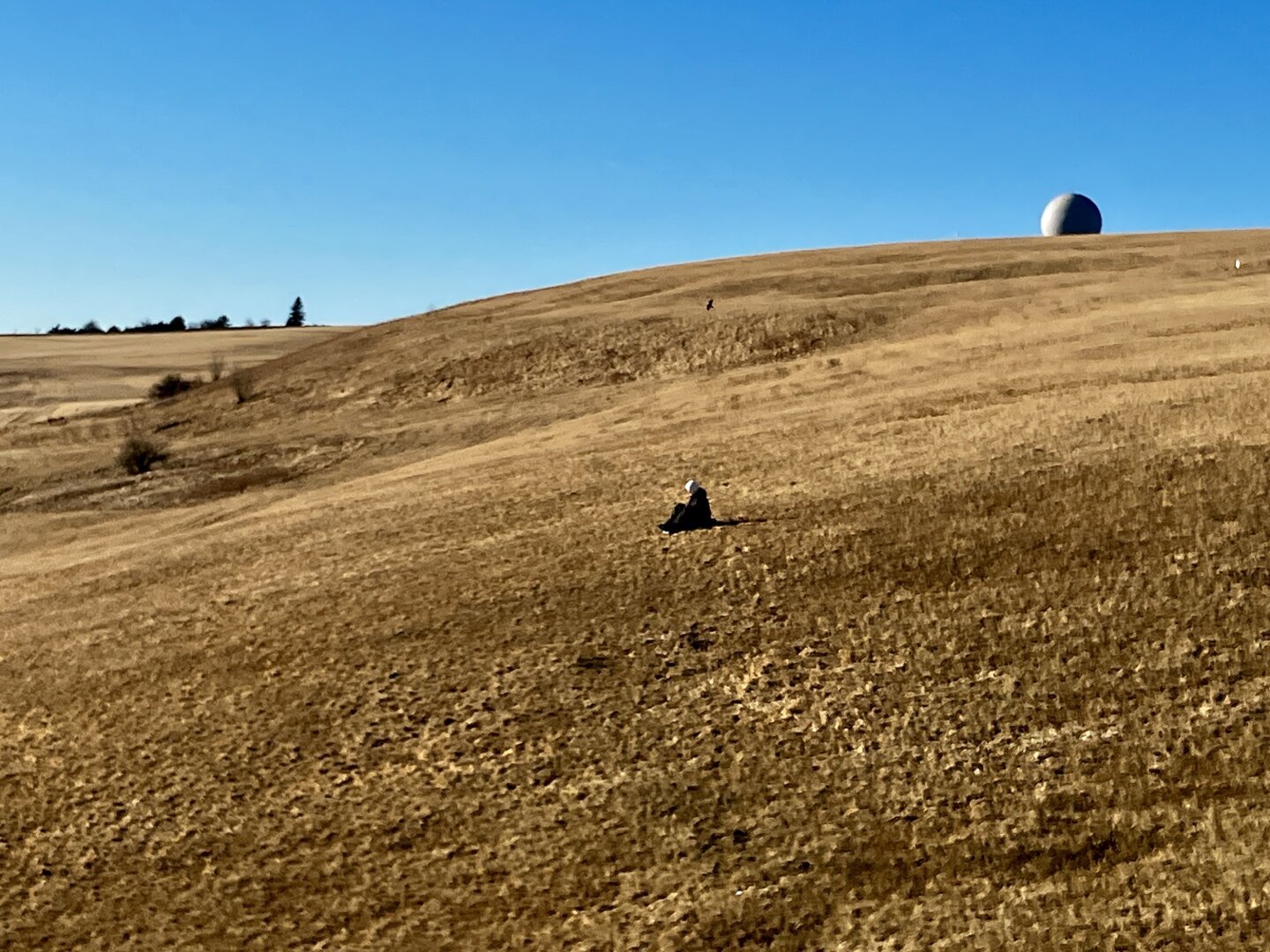 A person on a sled going down a slope in winter without any snow coverage.