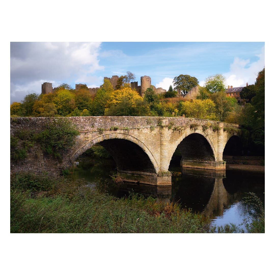 A magnificent medieval stone bridge spans the River Teme at Dinham, its three graceful arches constructed from pale honey-coloured ashlar stone reflected in the still water below, whilst ivy and lichen cling to its weathered masonry and parapet walls that are dotted with small plants thriving in crevices. Dominating the skyline behind the bridge, the imposing ruins of Ludlow Castle rise majestically above the riverbank, its sturdy stone towers and crenellated walls partially softened by a vibrant display of autumnal foliage in shades of golden yellow, amber and green, with a red-brick Georgian building visible amongst the trees to the right. The foreground is framed by lush riverside vegetation including sedges and wild plants along the water's edge, whilst the clear blue sky dotted with white clouds and dappled sunlight create an atmospheric scene that captures the historical significance and natural beauty of this Shropshire landscape.