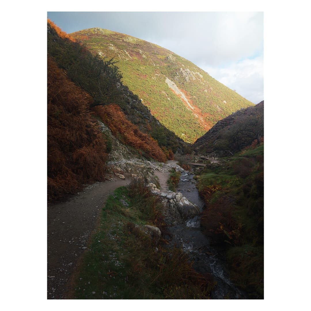A rocky mountain stream winds through a deep valley beneath towering hillsides in autumn, with a wooden footbridge visible in the middle distance spanning the water. The steep slopes on either side are clothed in moorland vegetation displaying the season's palette of burnt orange, russet brown, and moss green, interspersed with exposed grey limestone and white scree, whilst the prominent rounded summit of Haddon Hill rises majestically ahead, its upper reaches bathed in warm sunlight and covered in golden-green grass with darker patches of heather and bracken. The clear stream tumbles over smooth rocks in the foreground, flanked by low vegetation and ferns, and the sky above is pale blue with soft white clouds, creating a serene autumnal landscape typical of the Shropshire Hills.