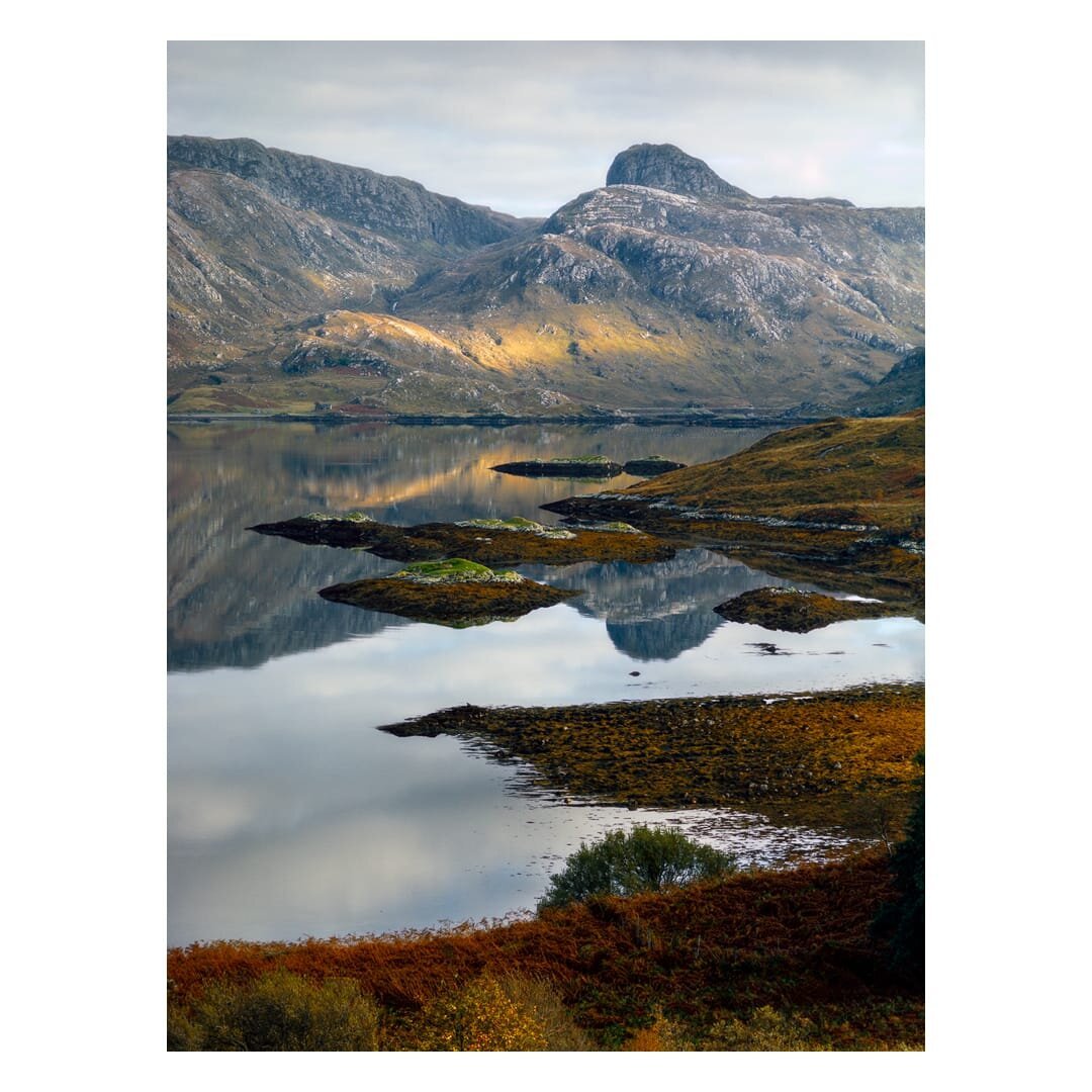 A portrait-format landscape photograph looks across the still, glassy waters of Loch Glencoul towards the Stack of Glencoul, a rounded, craggy summit rising from a ridge of rugged mountains in the north-west Highlands of Scotland. The grey, rocky slopes are streaked with pale quartzite and patched with olive green and tawny grass, and a single shaft of golden sunlight falls across the middle of the hillside, picking out its warm colours against the cooler, shadowed ground on either side. Beneath a soft, overcast sky of pale grey cloud, the loch mirrors the mountains almost perfectly, with the golden glow and the dark, pointed shape of the peak repeated in the reflection. Several small, low islets and skerries covered in orange-brown seaweed, and topped with bright green moss, sit scattered across the water, while a broad band of rust and ochre weed stretches in from the right-hand shore. In the foreground, banks of russet bracken and a few autumn-yellow birch leaves frame the bottom of