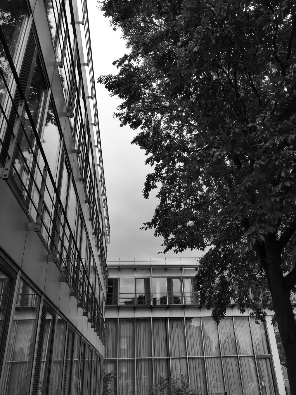A modern building with a glass and metal facade is viewed from an angle. Lush green trees partially obscure the view, set against a cloudy sky, all depicted in black and white.