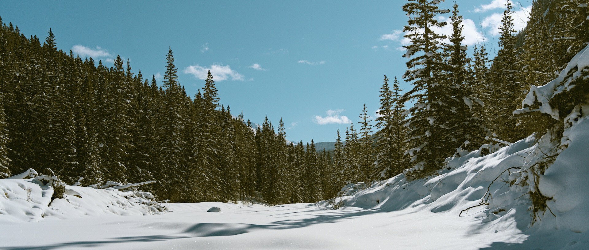 An open snow covered canyon, on each side is thick forest, and a blue sky is above.