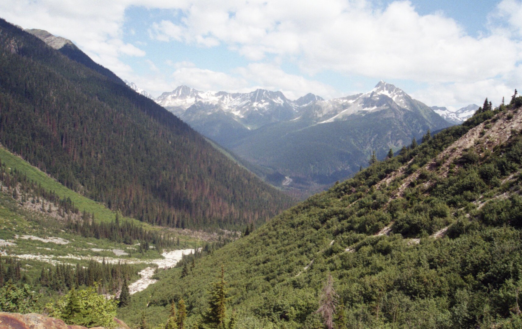 A colour film photo of a valley, in the middle a stream is going through it, it is lush and green and there is a mountain in the foreground and background.