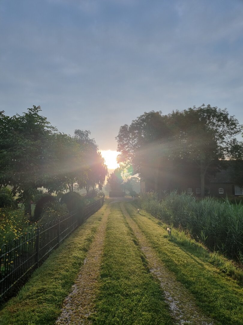 Lange inrit van gras met rijbanen van grind. Bomen aan de horizon met de opkomende zon ertussen.