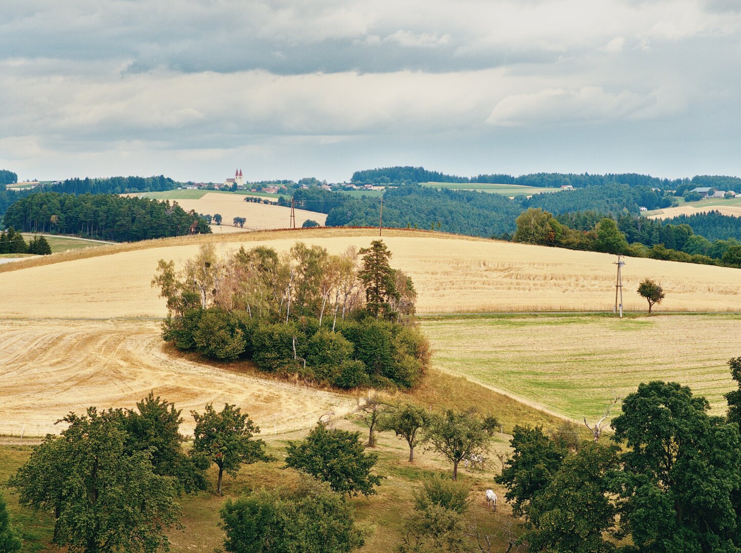 Hilly summer landscape in the bucklige welt, lower austria, with the church maria schnee in the background