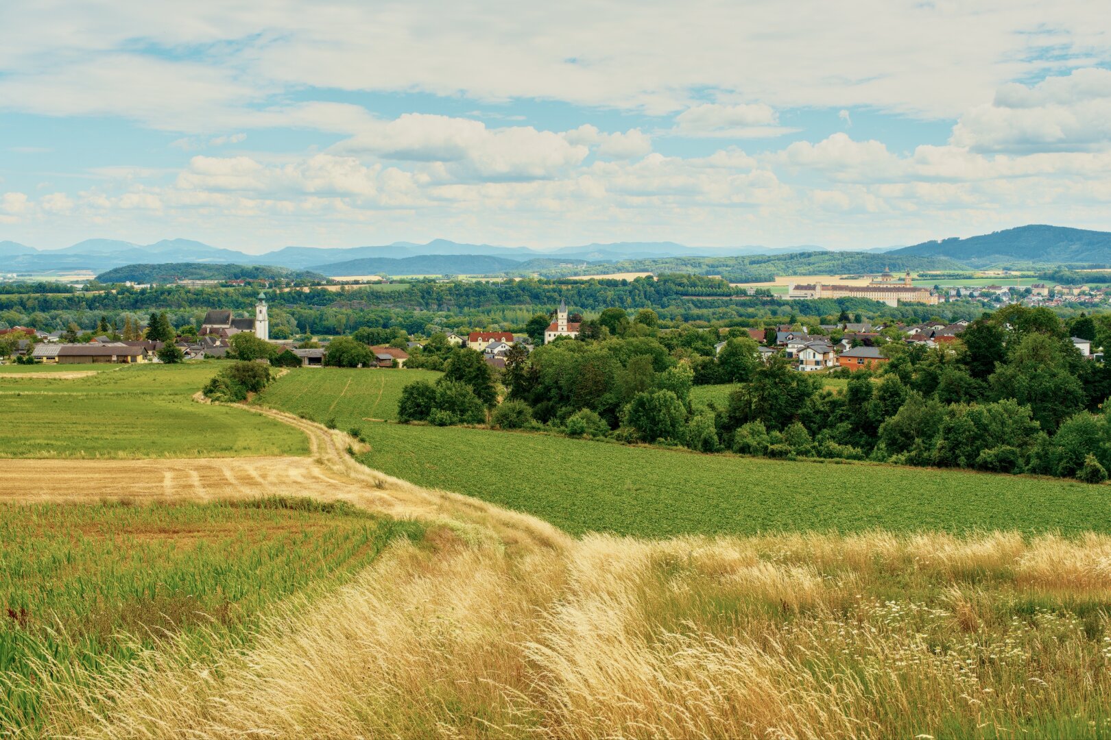 Summer landscape in the wachau, with stift melk in the background, lower austria