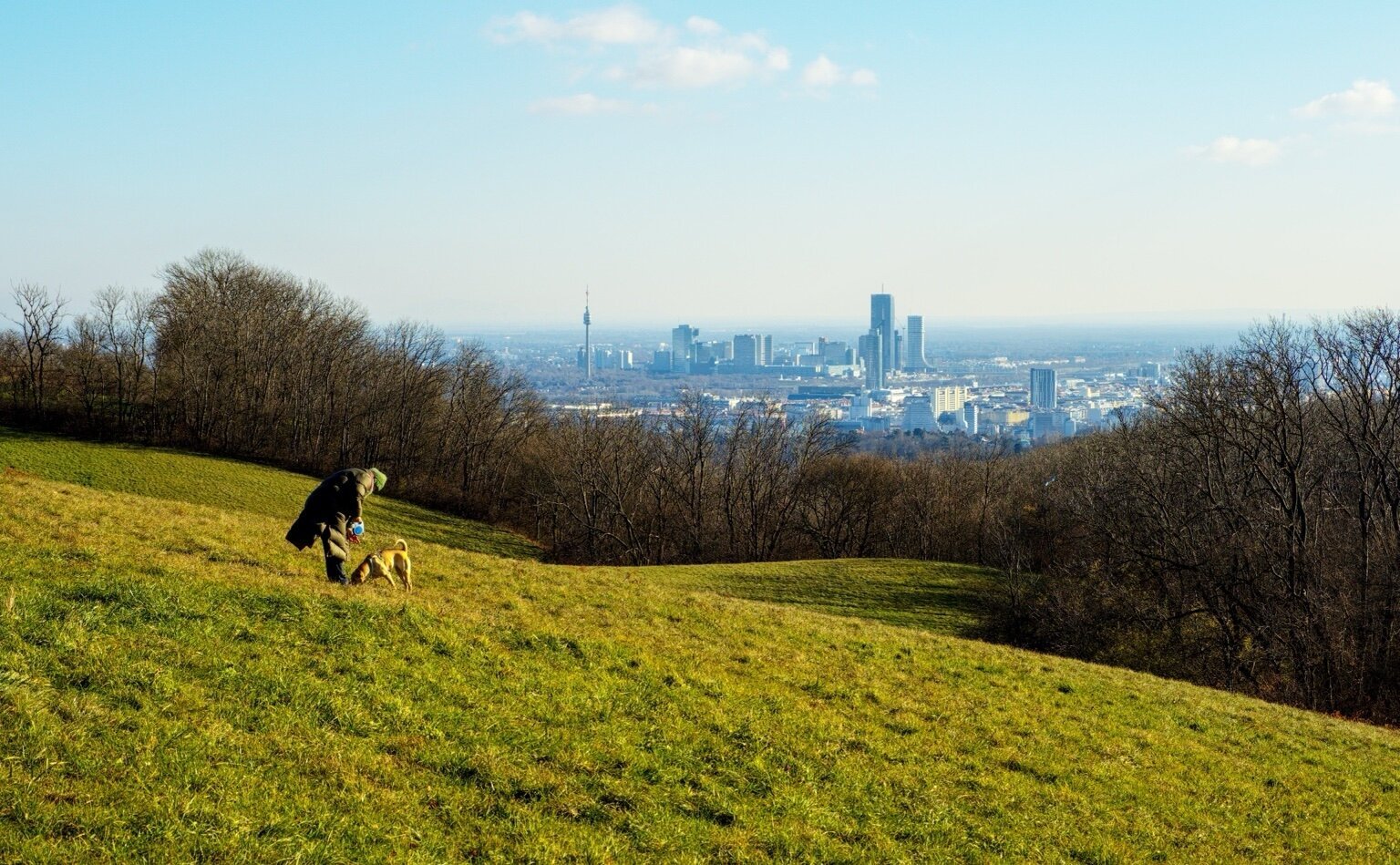 View of vienna from the cobenzl with dog walker