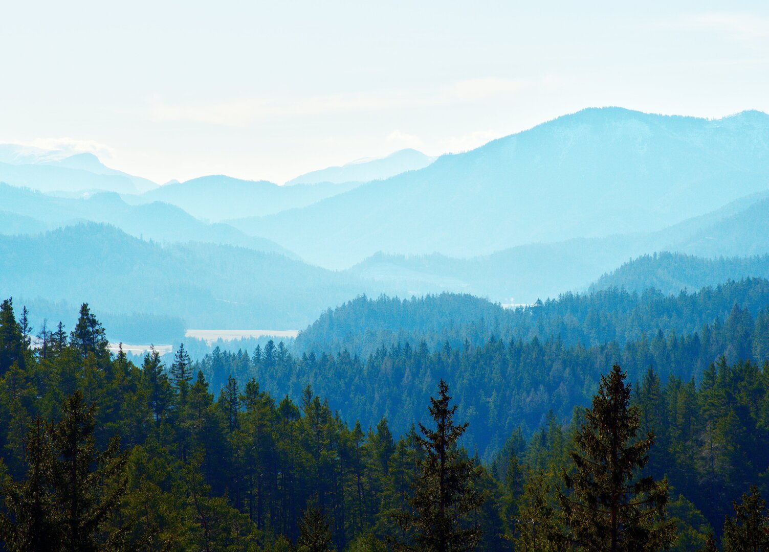 View from the way up to the jochart, lower austria