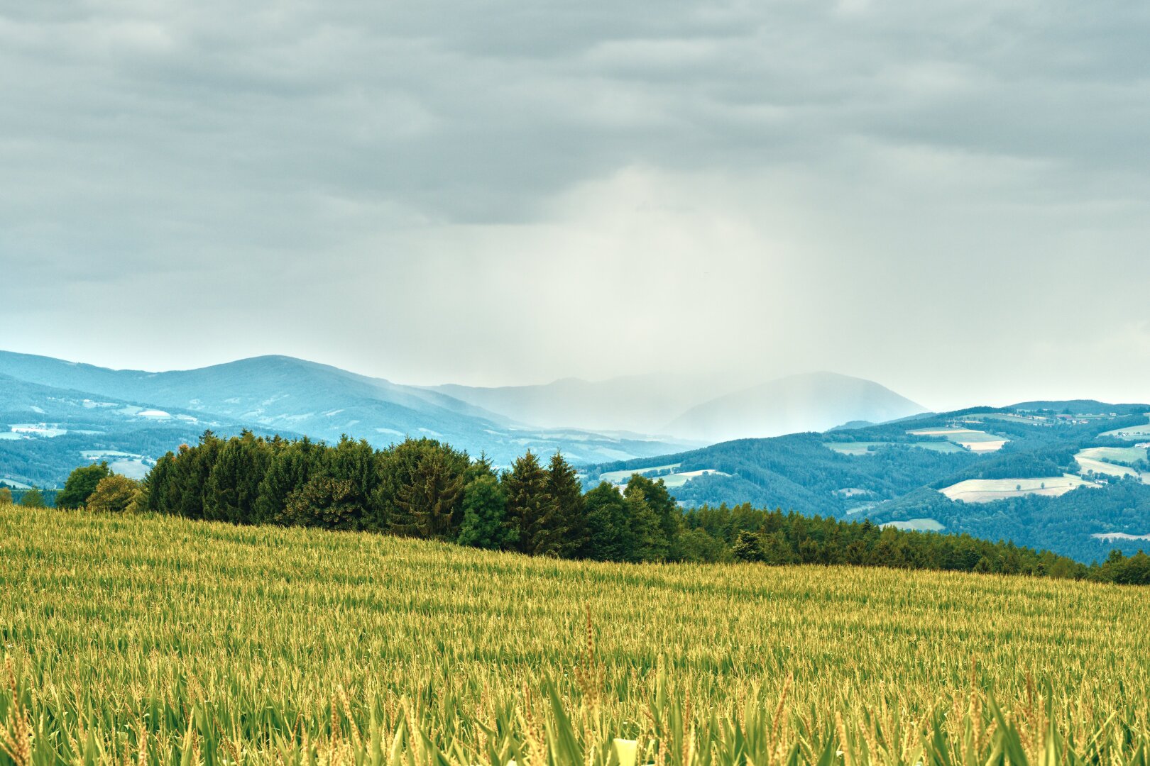 Summer landscape with corn field in the foreground and a cloudy sky, in the distant blue mountains a rainshower is going down, lower austria