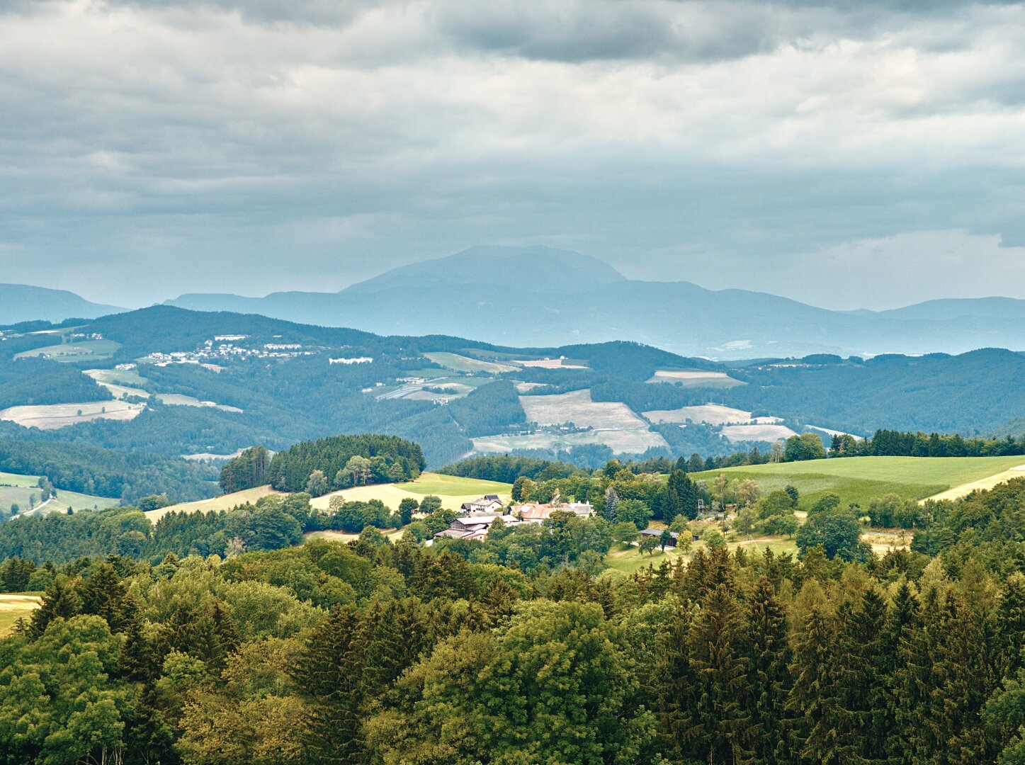 This image captures a sweeping panoramic view of a lush, rolling landscape under an overcast sky. In the immediate foreground, a dense canopy of mixed forest dominates, showcasing vibrant greens and hints of yellow foliage that suggest late summer or early autumn. Beyond this tree line, the terrain undulates into gentle hills covered in a patchwork of dark green coniferous forests and lighter patches of agricultural fields or meadows. Several clusters of buildings are nestled within the valleys and on the slopes; to the left, a small village with white structures is visible on a hillside, while other farmhouses dot the landscape near the tree line. In the distance, a range of mountains rises up, their peaks softened by atmospheric haze into shades of blue-grey, creating a sense of depth and scale. The sky above is filled with heavy, textured clouds that diffuse the light, casting a soft, even illumination over the scene without harsh shadows.