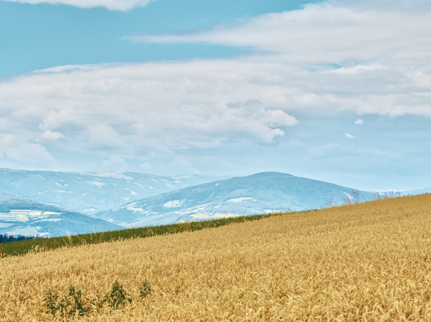 Summer landscape with cornfield, mountains and clouds, lower austria