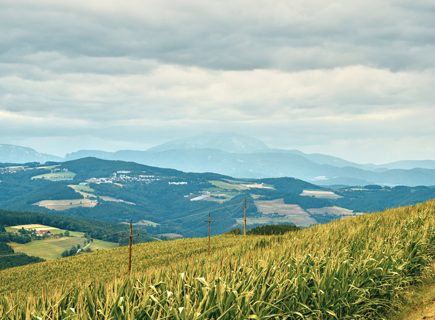 Sormy Summer landscape with the schneeberg, lower austria