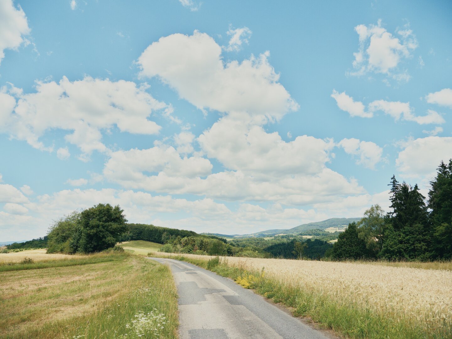 Summer landscape in the wachau, lower austria, with blue sky and white clouds