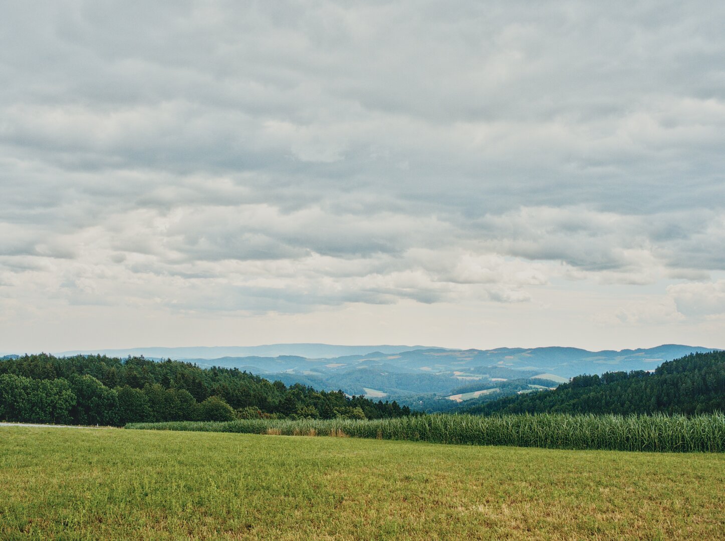 Cloudy summer landscape in the bucklige welt, lower austria