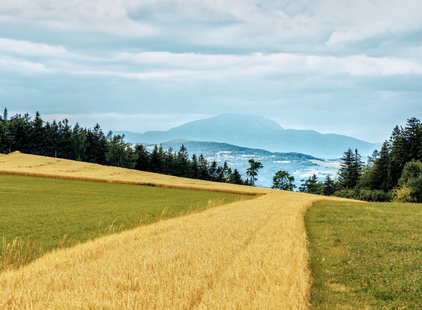 Stormy summer landscape with a corn field in the foreground and the schneeberg in the background, lower austria