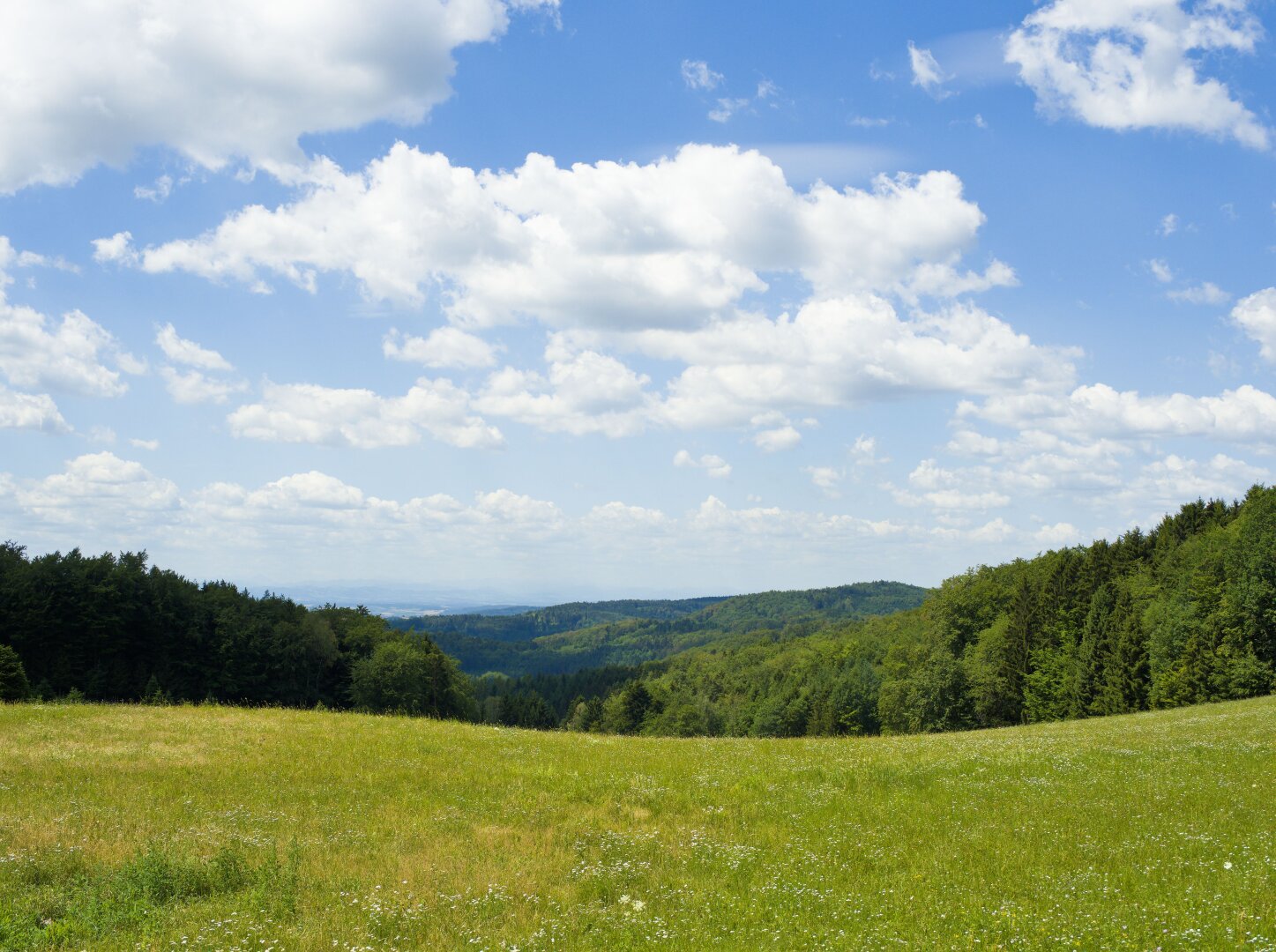 Summer landscape in the wachau, lower austria